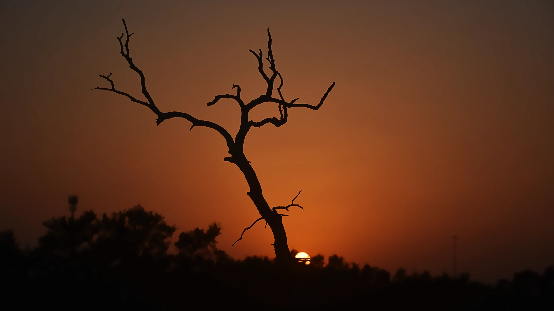Sunset over mangroves photographed in Abu Dhabi UAE